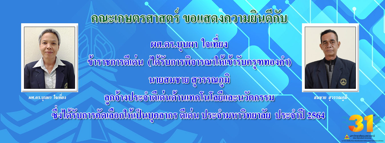 First slide