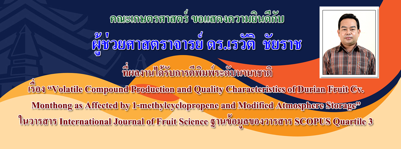 First slide