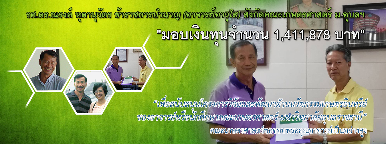 First slide